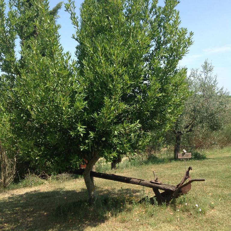 Teruzzi Country House San Gimignano Exterior foto